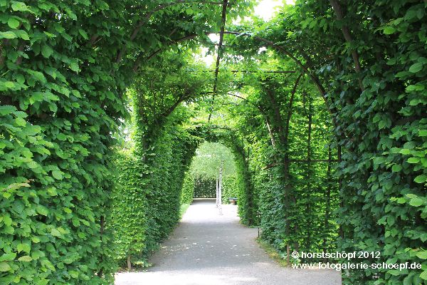 Bayreuth Donndorf - Schloss Fantasie Laubengang